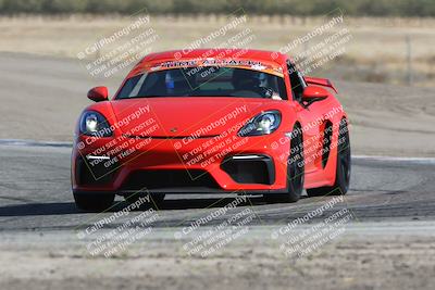 media/Oct-21-2023-Speed Ventures (Sat) [[ddf75163c5]]/Green/Grapvine/